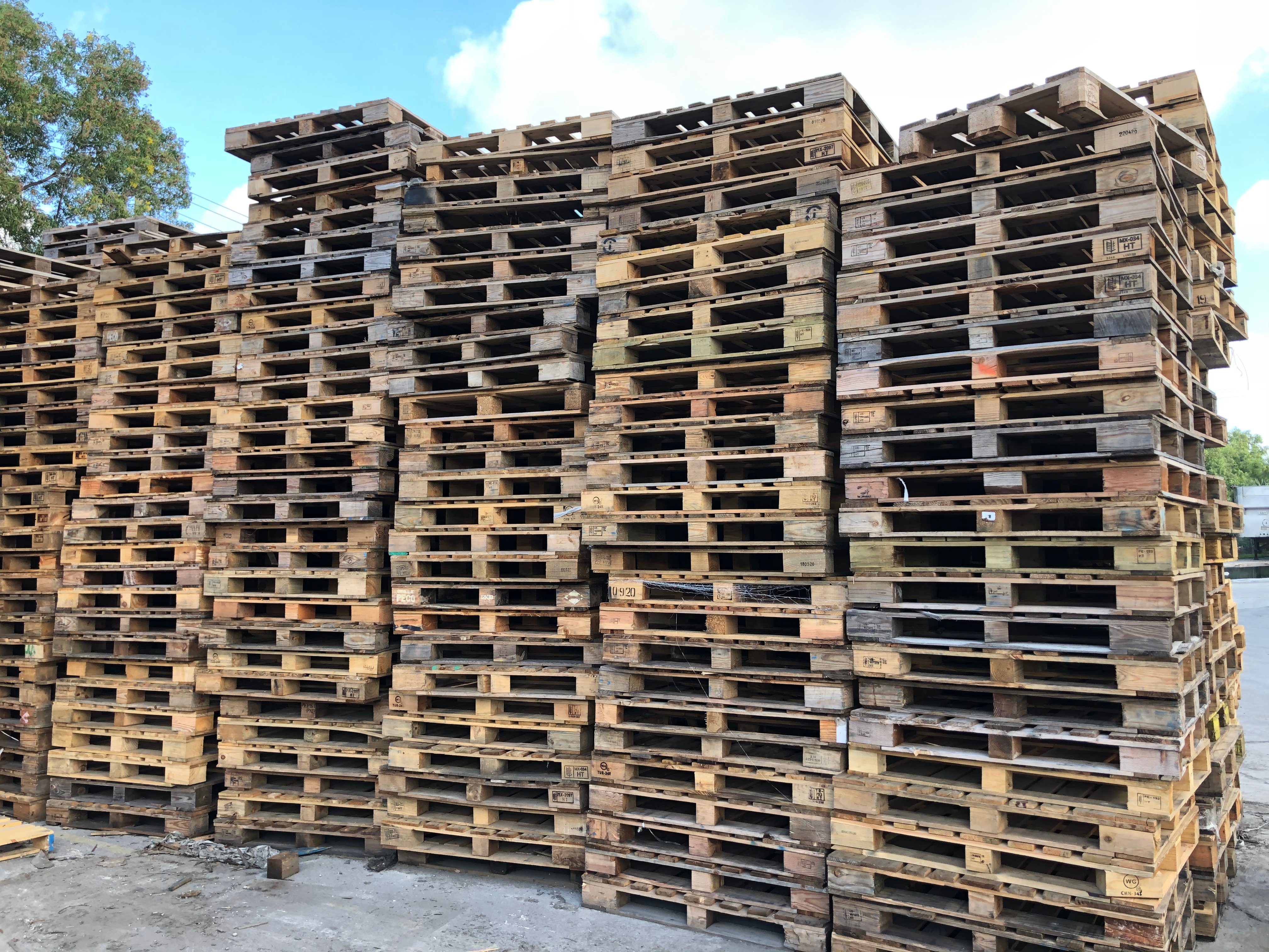used pallet 2