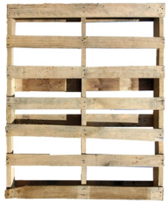 Picture1-Jan-13-2026-06-30-24-9254-PM