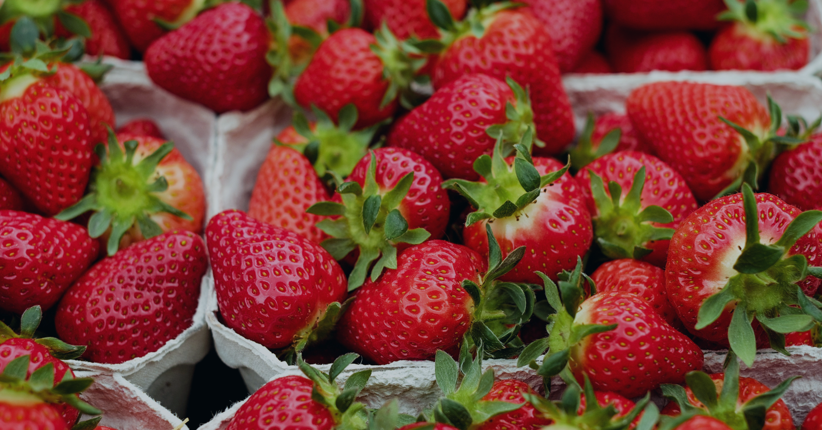 Produce - 48f LI July 2023 (1)