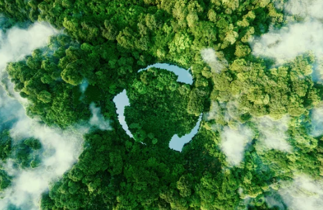 Screenshot 2026-01-20 145055